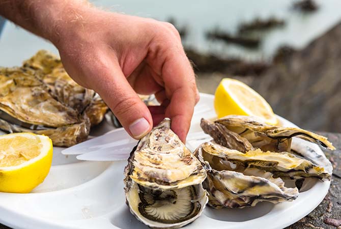 Peaud Anthony Ostréiculteur : fournisseur huitres à Challans, Noirmoutier (85) & Cholet (49)