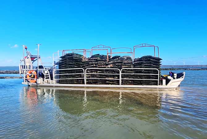 Peaud Anthony Ostréiculteur : vente huitres à Challans, Noirmoutier (85) & Cholet (49)