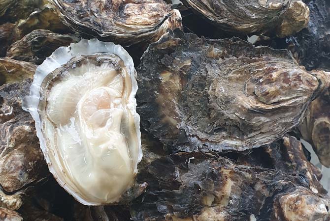 Peaud Anthony Ostréiculteur : acheter des huîtres à Challans, Noirmoutier (85) & Cholet (49)